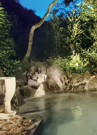 【熊本・黒川温泉×露天風呂】旅館 壱の井