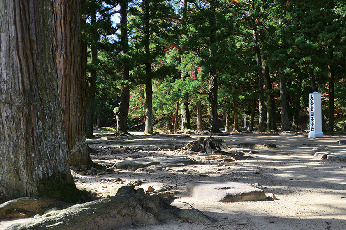 4.金堂円隆寺跡