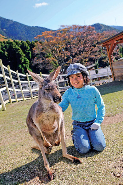 滋賀農業公園 ブルーメの丘