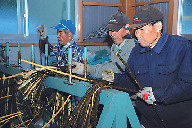 本美濃紙づくりの工程