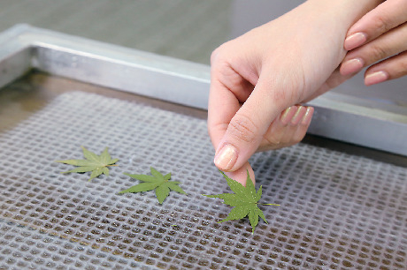 美濃和紙の里会館