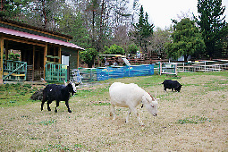 園内を散策しながら癒しを満喫♪