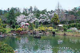 園内を散策しながら癒しを満喫♪