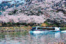 【中津川&恵那×観光】恵那峡遊覧船