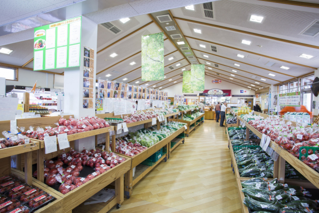 【滋賀の道の駅】竜王かがみの里