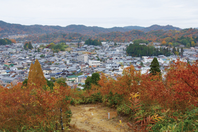 【信楽×観光スポット5】信楽焼を見守る火の守護神「陶器神社」