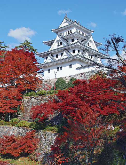 郡上八幡で人気の観光スポット 郡上八幡城