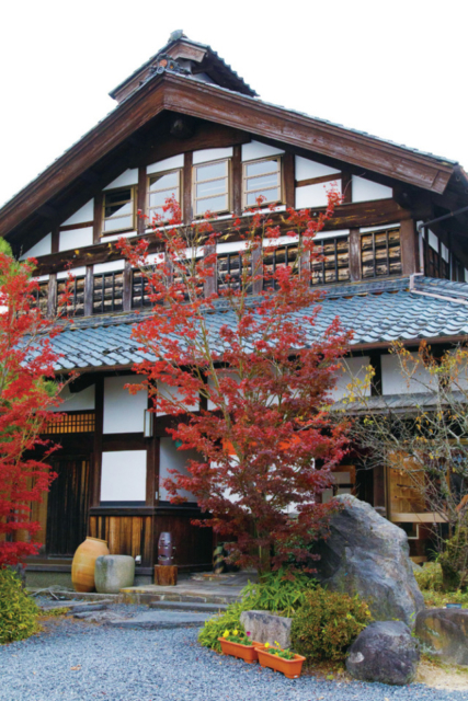 【信楽×ランチ&カフェ】コシがあり喉ごしよい九一そば「手打ちそばと朝宮茶の店 黒田園」