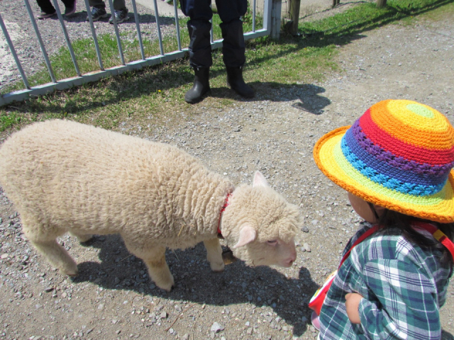 【滋賀の道の駅】アグリパーク竜王