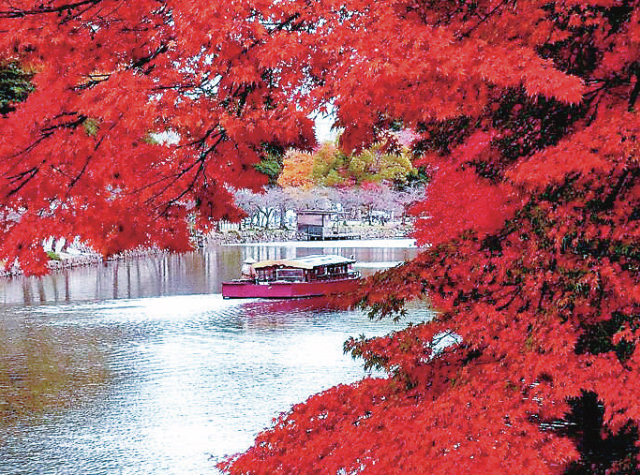 【彦根城周辺】お姫様お殿様気分になる「彦根城屋形船」