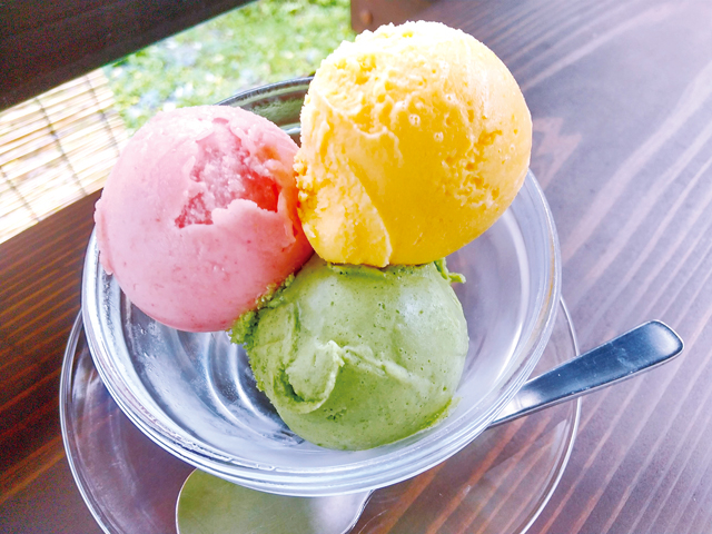 【屋久島のスイーツ】ジェラートそらうみ