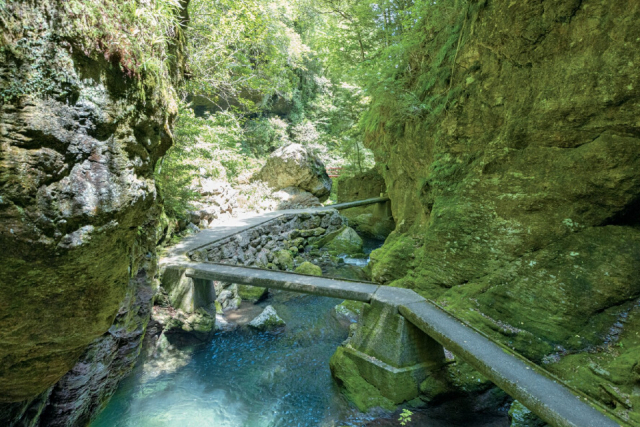 渓谷美と自然のオブジェ爆音の滝に感動!「中津渓谷」