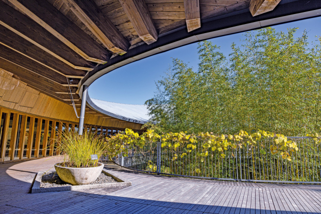 【高知県立牧野植物園の見どころ】牧野富太郎記念館 本館