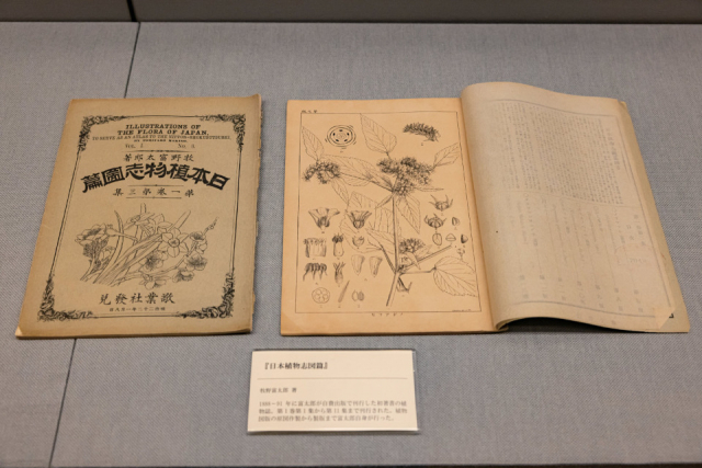 【高知県立牧野植物園の見どころ】牧野富太郎記念館 展示館