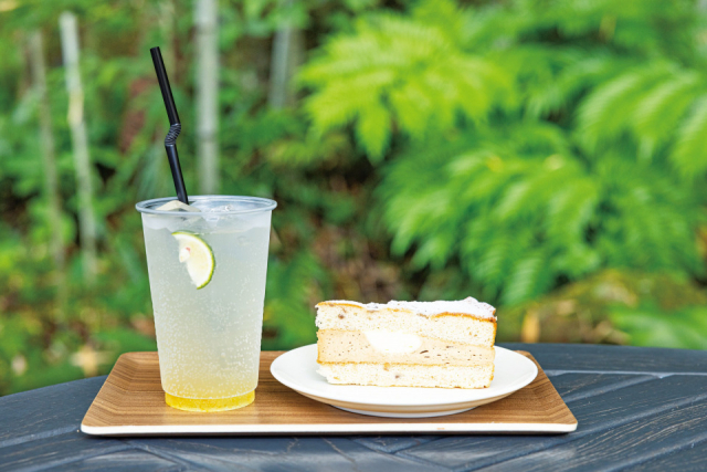 【レストラン】カフェ アルブル