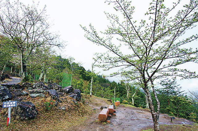 【立雲峡ウォーキング】第3展望台
