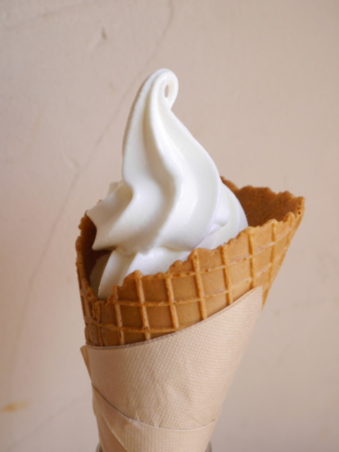 【一足のばして久美浜へ】搾りたてのおいしさは格別!「丹後ジャージー牧場「ミルク工房そら」」