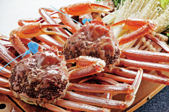 【城崎×カニ】お宿 芹