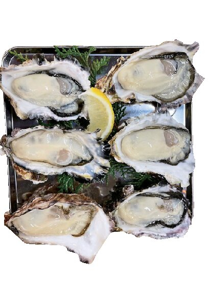 【三重で牡蠣グルメが美味しい店】マルナカ水産 マルマ本店
