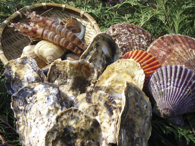 BBQ感覚でワイワイ楽しめるカキ焼き場「俺たちのカキ焼家」