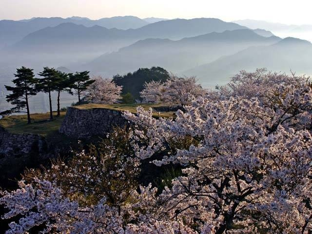 【竹田城跡について知ろう】3.四季折々の景色が楽しめるのも竹田城跡の魅力!