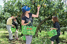 【Column】伊万里新幸農園