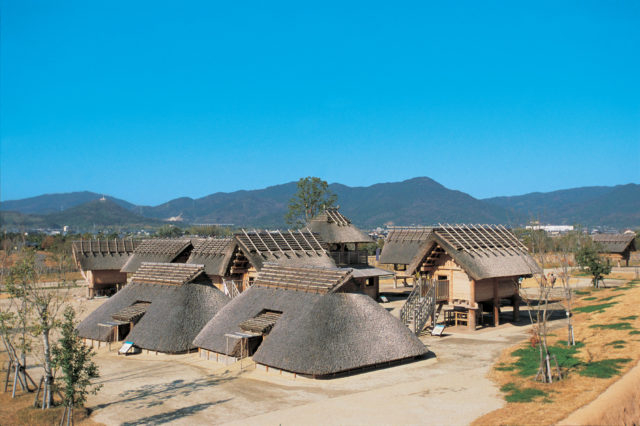 吉野ヶ里遺跡のある「吉野ヶ里歴史公園」について知ろう