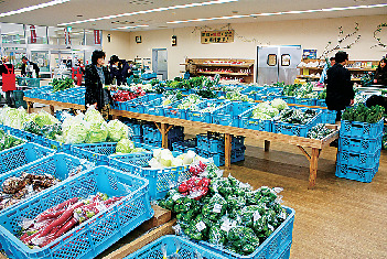 【高知×産直市場&物産館】広大な田園地帯でのんびり買い物「JA南国市「かざぐるま市」」