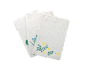 【高知×道の駅】伝統工芸を体験できる滞在型駅「道の駅 土佐和紙工芸村」