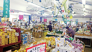 【高知×産直市場&物産館】生産者が丹誠込めた品々「レストパークいの」