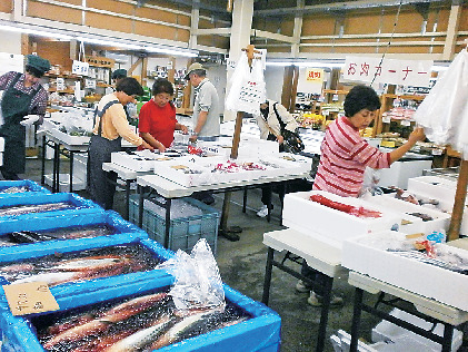 【高知×産直市場&物産館】高知のおいしい食材が集まる「とさのさと」