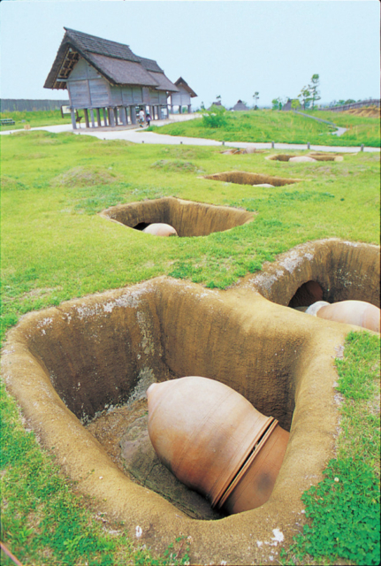 素焼きの土器で作った棺の列「甕棺墓列」