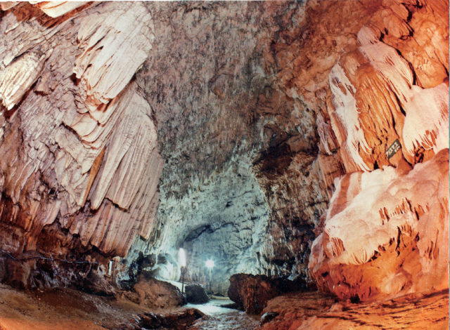 沖永良部島ってどんな島?