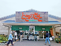 【高知×産直市場&物産館】高知のおいしい食材が集まる「とさのさと」