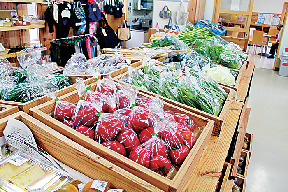 【高知×産直市場&物産館】越知の魅力を発信「越知町観光物産館 おち駅」