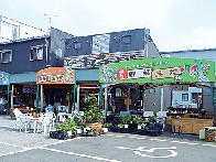 【高知×産直市場&物産館】土佐の恵みが大集合「よさこいふるさと市場」