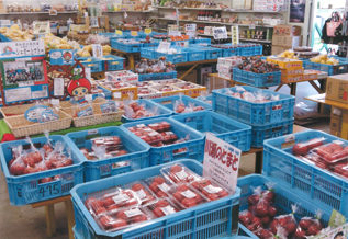 【高知×産直市場&物産館】観光客のリピーターも多い「サングリーンコスモス ふれあい市」