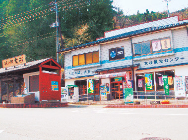 【高知×道の駅】天然記念物である日本一の杉の巨木が圧巻「道の駅 大杉」