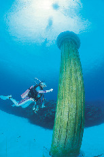 BUKU2 ダイバーズ