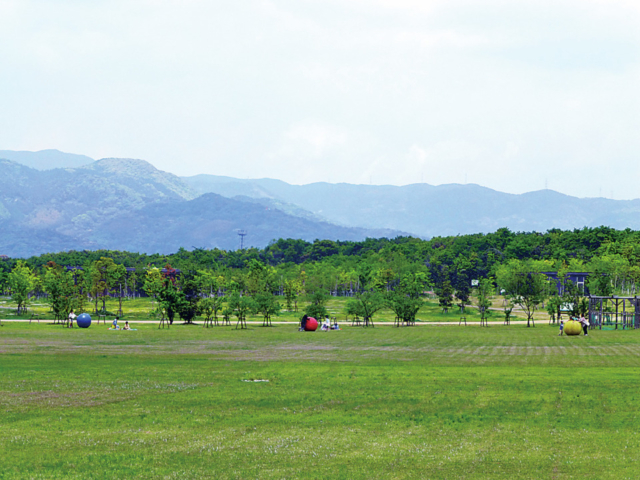 古代に近い状態の森が見られる「古代植物の森」