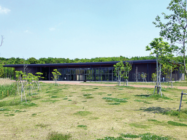 植物にふれる体験プログラム「古代植物館」