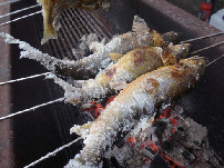 【高知×道の駅】2016年にオープンした道の駅「道の駅 よって西土佐」