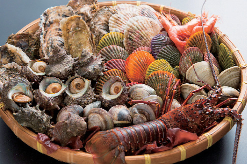 【高知×道の駅】久礼新港に面して海を感じる「道の駅 なかとさ」