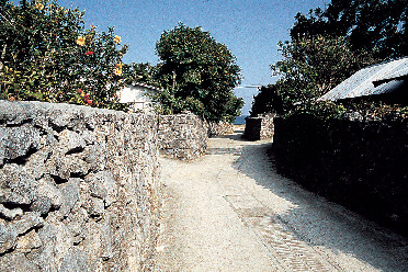 サンゴの石垣(阿伝集落)