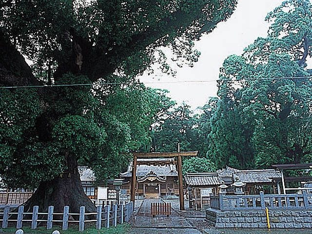 【三重・尾鷲×観光】天下の奇祭”ヤーヤ祭り”の舞台「尾鷲神社」