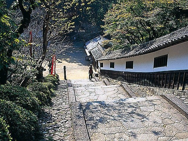 神宮寺(丹生大師)