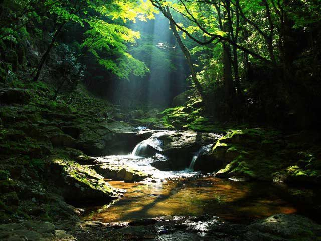 赤目四十八滝ってどんなところ?