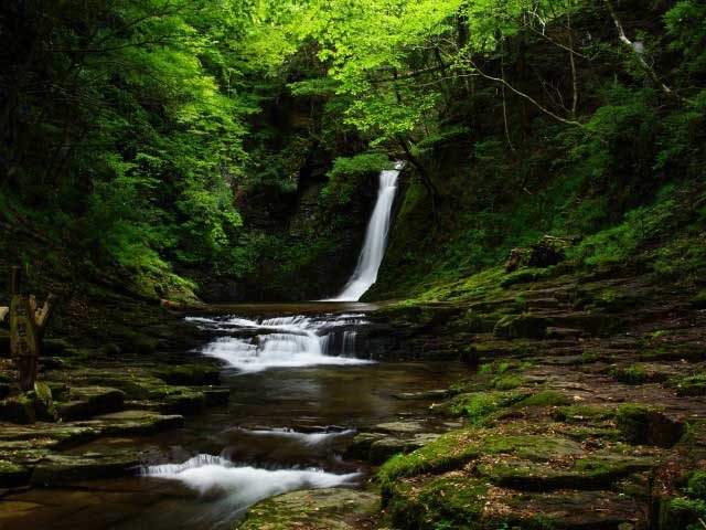 【赤目五瀑5】琵琶滝