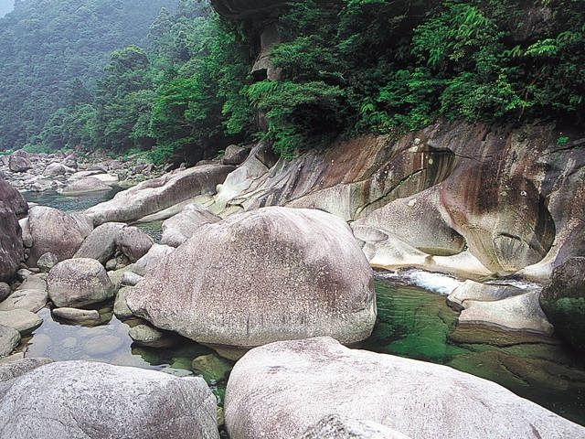 【三重・尾鷲×観光】奇岩や自然の渓谷が見どころ「魚飛渓」