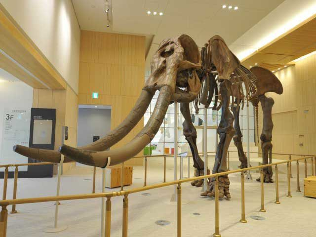 三重県総合博物館(MieMu)